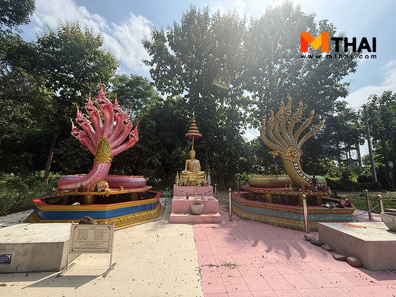 พญานาค