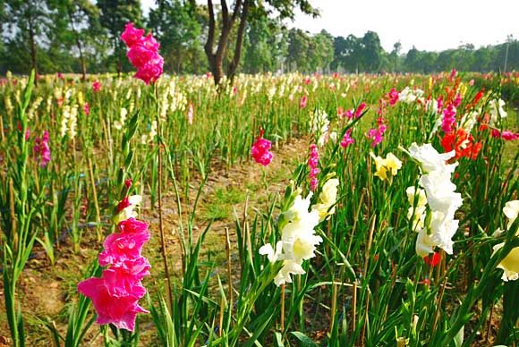 สวนสวรรค์สุพรรณบุรี สวนสวรรค์สุพรรณบุรี