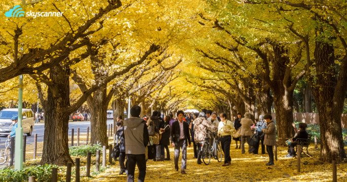 สวนเมจิยิงงู ไกเอ็ง-พระราชวังอิมพีเรียล (Meiji Jingu Gaien-Imperial Park) สถานที่ ชมใบไม้เปลี่ยนสีที่ญี่ปุ่น