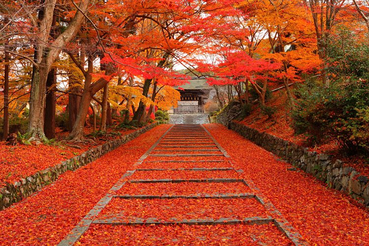 วัดบิชามอนโด (Bishamon-do Temple), เกียวโต สถานที่ ชมใบไม้เปลี่ยนสีที่ญี่ปุ่น