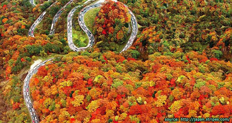 ถนนสายโรแมนติคอิโรฮาซากะ (Irohazaka Winding Road) สถานที่ ชมใบไม้เปลี่ยนสีที่ญี่ปุ่น