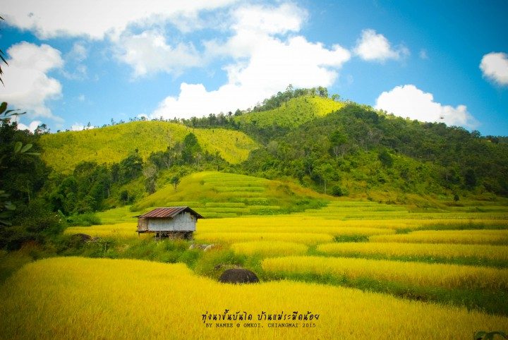 นาขั้นบันได เชียงใหม่