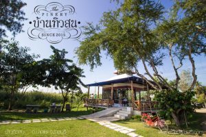 บ้านทิวสน – The Pinery
