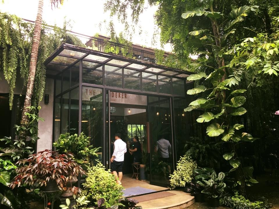 The Wanderer - เดอะ วอนเดอเรอร์