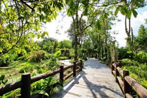 The Blooms Orchid Park จังหวัดราชบุรี 