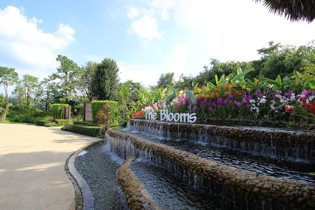 The Blooms Orchid Park จังหวัดราชบุรี 