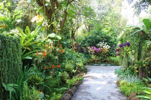 The Blooms Orchid Park จังหวัดราชบุรี 
