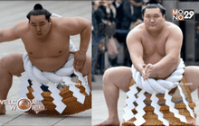 แชมเปี้ยนซูโม่เชื้อสายญี่ปุ่นคนแรกในรอบ 10 ปี