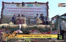รณรงค์งดเผา “ตอซังข้าว” แก้ปัญหาฝุ่น