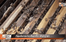 Motion News Break 2 (03-05-59)