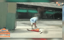 รวบสามีโหดทำร้ายเมียสลบกลางถนน