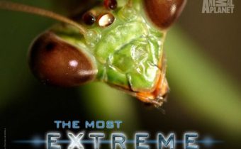 The Most Extreme Series สุดขีด! สัตว์พิศวง ปี 2