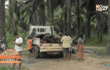 พบซากกระทิงป่าถูกยิงตาย จ.กระบี่