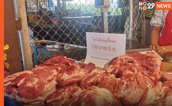 “โคราช” แก้ปัญหาหมูแพง เปิด 6 จุดขายเนื้อหมู กก.ละ 150 บาท