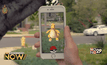 แรงฉุดไม่อยู่! ฮอลลีวู้ดเตรียมหยิบ Pokemon GO ทำหนังคนแสดง