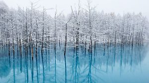Blue Pond บ่อน้ำสีฟ้าสดใส ที่เที่ยวญี่ปุ่น