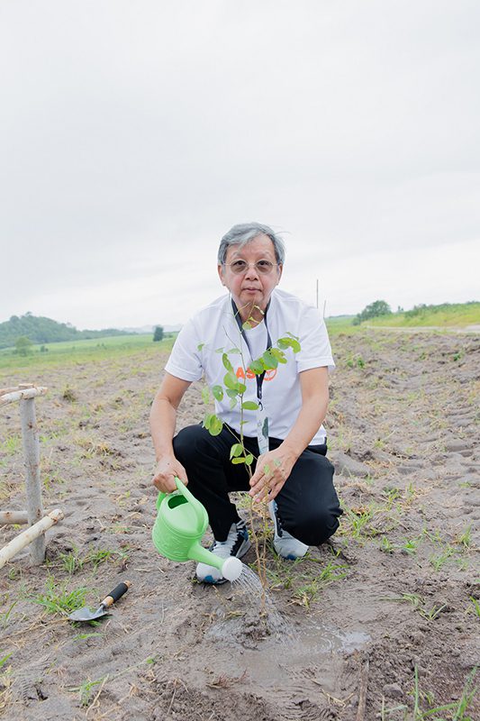 ปลูกป่า