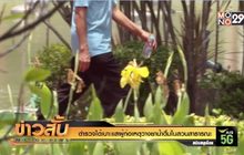 ตำรวจได้เบาะแสผู้ก่อเหตุวางยาน้ำดื่มในสวนสาธารณะ
