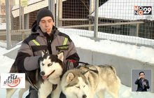 ชมความน่ารักของสุนัขในสวนสัตว์รัสเซีย