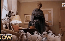 ดิสนีย์สะกดมือเขียนบท Fifty Shades ทำภาคแยก “101 ดัลเมเชี่ยน”