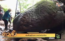 เร่งฟื้นฟูถ้ำนาคา ระหว่างปิดเที่ยว