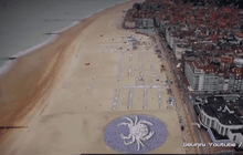 ศิลปินเบลเยี่ยมสร้างผลงานขนาดยักษ์ริมชายหาด