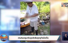ตามหมองูมาจับงูแต่กลับถูกงูกัดมือเจ็บ