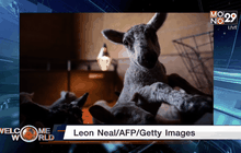 Welcome World 07-04-59