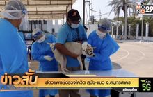สัตวแพทย์ตรวจโควิด สุนัข-แมว จ.สมุทรสาคร