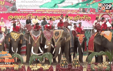 พิธีจดทะเบียน..บนหลังช้าง