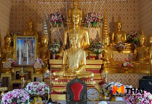 กราบพระ ปล่อยปลาริมแม่น้ำลพบุรี วัดต้นสะตือ บางปะหัน อยุธยา