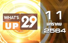 What’s Up 29 11-01-64