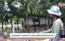 วอนช่วยด้วย ! หมดหนทาง 16 ชีวิต ถูกเพื่อนบ้านปิดทางเข้า-ออก