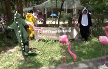 สวนสัตว์อุบลฯ เตรียมรับสัตว์จากสวนสัตว์ดุสิต