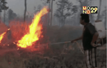 ไฟป่าลุกลามกว่า 1,000 ไร่ จ.นครพนม