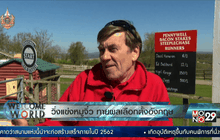 วิ่งแข่งหมูจิ๋ว ทายผลเลือกตั้งอังกฤษ