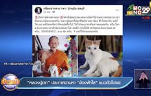 “หลวงปู่ฮก” ประกาศตามหา”น้องฟ้าใส” แมวตัวโปรด