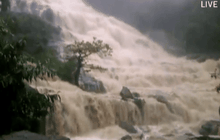 ปิดแหล่งท่องเที่ยวบนดอยอินทนนท์