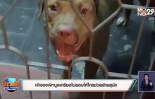 เจ้าของพิทบูลเครียดไม่ยอมให้ใครช่วยย้ายสุนัข