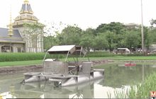 แปลงนาประกอบพระเมรุมาศ ถ่ายทอดพระราชกรณียกิจ