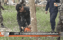มทภ. 3 เปิดยุทธการโค่นยางพาราทวงคืนผืนป่า