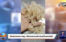 เก็บแมงกะพรุนไปตรวจ หลังพบลวกแล้วกลายเป็นพลาสติก