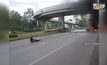 นาทีชีวิตพลเมืองดีช่วยคนเจ็บก่อนรถไฟไหม้ทั้งคัน