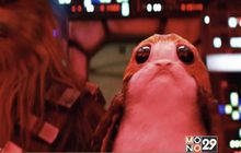 Star Wars 8 เผยภาพสัตว์ประหลาดหน้าแบ๊ว ทำชาวเน็ตฮือฮาไม่เลิก