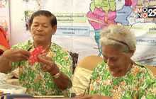 รัฐร่วมเอกชน ส่งเสริมการจ้างงานผู้สูงอายุ 60 ปีขึ้นไป