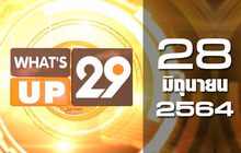 What’s up 29 28-06-64