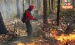 เร่งคุมเพลิงไฟป่า “อุทยานฯ ออบหลวง” หลังถูกมือดีเผาหาของป่า