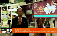 What’s up 29 10-04-59