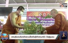ลพบุรีมอบต้นกล้าและเมล็ดพันธุ์ผักสวนครัว วัดสู่ชุมชน