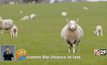เปิดตัว “Baa Baa Land” หนังเพื่อคนนอนไม่หลับ